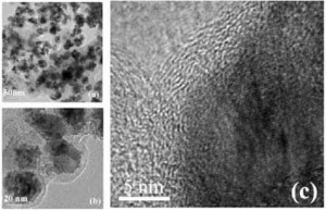 A green synthesis technique for fabricating carbon-coated magnetic nanoparticles